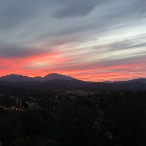 Meet your Posher, Reina